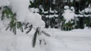 一根树枝的近距离，树枝上插着一根针，上面躺着白雪，有人猛拉一根树枝，
